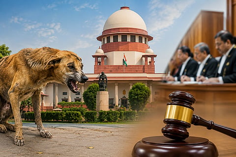 रेबीजग्रस्त, गंभीर आजारी कुत्र्यांना मारण्यास परवानगी; सर्वोच्च न्यायालयाचे निर्देश, सर्व याचिका फेटाळल्या