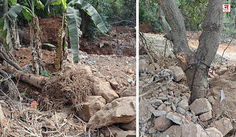 Bhayandar : पोलिसांकडूनच वृक्षतोड; उत्तनमधील प्रकार, पर्यावरणप्रेमींनी केली तक्रार