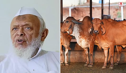 गायीला राष्ट्रीय प्राण्याचा दर्जा द्या; मुस्लिम संघटनांचा आग्रह