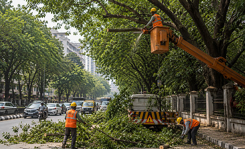 Mumbai : झाडांवर विषप्रयोग केला तर थेट गुन्हा दाखल होणार; बाजार व उद्यान समिती अध्यक्ष हेतल गाला यांचे निर्देश
