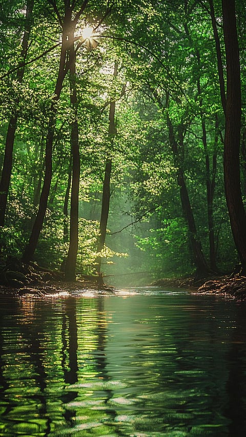 Environment Day 2026 : पर्यावरणाचे रक्षण करण्यासाठी आजपासूनच करा 'हे' छोटे बदल 