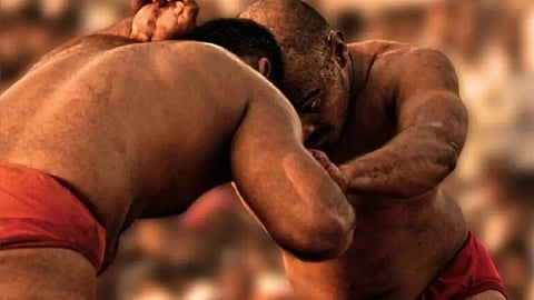 संलग्नता रद्दचा निर्णय कायम; शरद पवार यांच्या कुस्ती संघटनेला उच्च न्यायालयाचा मोठा धक्का