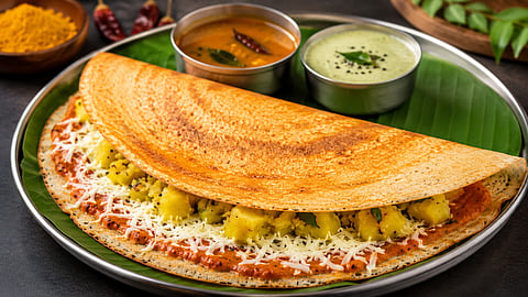 चीज आणि मसाल्याचा परफेक्ट मेळ! तोंडाला पाणी सुटेल असा म्हैसूर मसाला डोसा; फॉलो करा ही सोपी रेसिपी