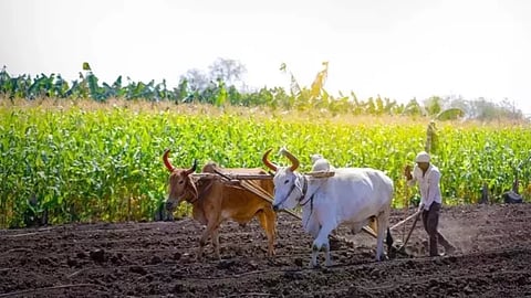 कर्जमाफीचा लाभ ५ जुलैनंतरच; कृषिमंत्री दत्तात्रय भरणे यांनी दिली माहिती