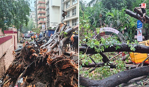 Mumbai : चेंबूर बस दुर्घटनेत ११ वर्षीय विद्यार्थ्याचा उपचारादरम्यान मृत्यू; अन्य चार विद्यार्थ्यांची प्रकृती स्थिर