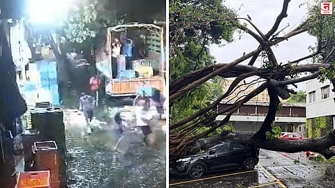 Mumbai : मुसळधार पावसाचा फटका! दादरच्या फुलबाजारात झाड कोसळलं, चर्चगेट-पेडर रोडवरही नुकसान, Video