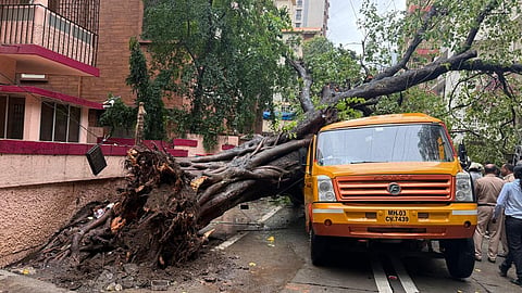 Mumbai : चेंबूर दुर्घटना काँक्रीटीकरणामुळेच; चौकशी समितीच्या अहवालात ठपका, आज पालिकेत निवेदन 