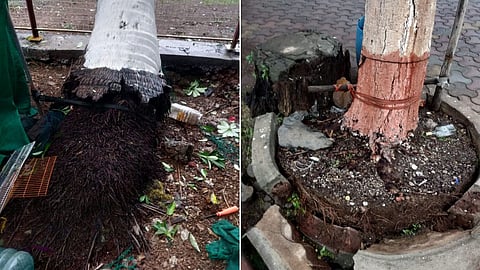 Mumbai : पावसाळी दुर्घटना रोखण्यात कमी पडलो! 'झाडांभोवतीचे काँक्रीट काढण्याची जबाबदारी अभियंत्यांची'; अतिरिक्त आयुक्त विपीन शर्मा यांची कबुली