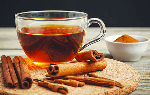 Weight Loss Tips : रिकाम्या पोटी प्या दालचिनीचं पाणी; वजन कमी करण्यासह होतील 'हे' ५ फायदे