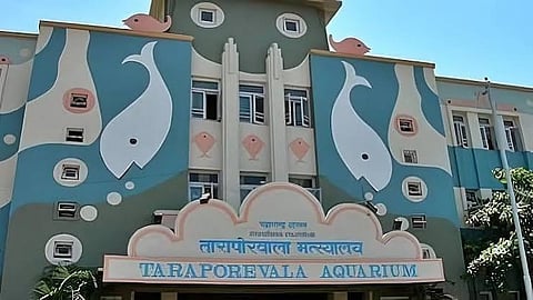 तारापोरवाला मत्स्यालयाचा होणार कायापालट; ९०० कोटींचा प्रकल्प; ३८,००० मासे व स्कुबा डायव्हिंग; ऑक्टोबरमध्ये भूमिपूजनाची शक्यता