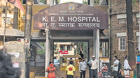 Mumbai : केईएमच्या कँटिनचा परवाना रद्द; अस्वच्छतेच्या कारणावरून FDA ची कारवाई