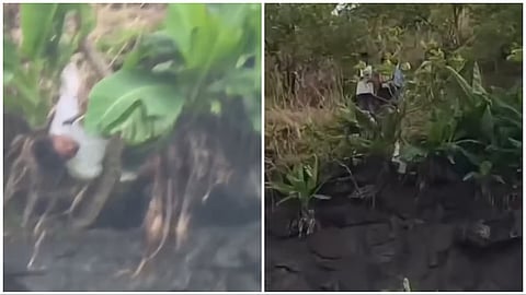 Lonavala Viral Video : ट्रेकिंगदरम्यान थोडक्यात बचावला तरुण; पावसाळ्यात सुरक्षित ट्रेकसाठी घ्या 'ही' खबरदारी
