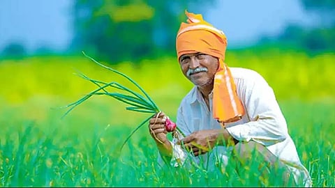 पहिल्या यादीत केवळ ५३३ शेतकऱ्यांना कर्जमाफी; प्राप्तिकर विभागाकडून यादी न मिळाल्याने विलंब 