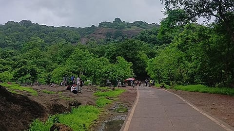 Monsoon Tourism : पावसाळ्यात संजय गांधी राष्ट्रीय उद्यानाला भेट देणार आहात? मग ही माहिती नक्की वाचा