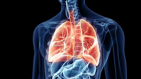 World Lung Day : धूम्रपानच नाही, प्रदूषणही फुफ्फुसांसाठी घातक; जाणून घ्या श्वसनविकारांची इतर कारणे 