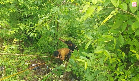 जव्हार : दाभोसा धबधब्यावर रेलिंग कोसळले; दोघे दरीत, वनकर्मचाऱ्यांच्या धाडसी बचावकार्याने वाचले प्राण, Video