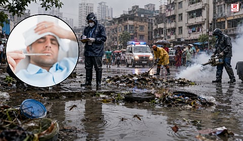 मुंबई तापाने फणफणली! महिनाभरात मलेरियाच्या १,३८० रुग्णांची नोंद; डेंग्यूचे ४६६, तर लेप्टोचे ७८ रुग्ण 