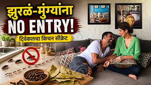 अक्षय कुमारच्या घरात झुरळं-मुंग्यांना नो एंट्री! ट्विंकल खन्ना वापरते 'या' २ घरगुती गोष्टी  