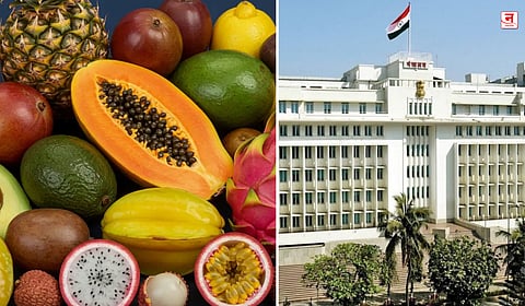 शासकीय बैठकीत आरोग्यदायी आहार बंधनकारक