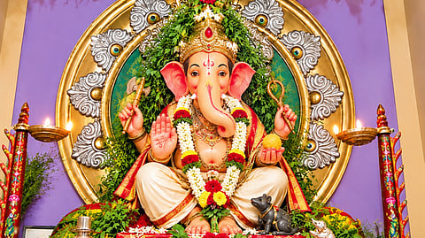 माटवी : कोकणच्या निर्सगाशी जुळलेली नाळ