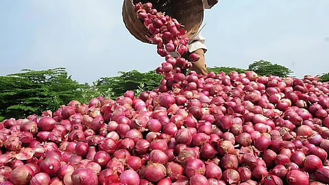 सणासुदीच्या काळात कांद्याच्या बाजारभावात घसरण; मागणीत घट झाल्याने शेतकऱ्यांमध्ये चिंता 
