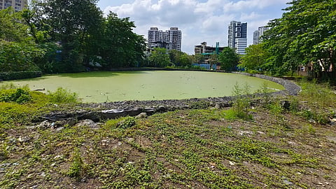 Thane : जोगिला तलावात पडून दोघींचा मृत्यू; खेळताना तलावात पडल्याचा पोलिसांचा प्राथमिक अंदाज
