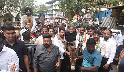 ठाण्यात ज्ञानेशकुमार यांची गाढवावरून प्रतिकात्मक धिंड; राष्ट्रवादी काँग्रेस (शप) चे आंदोलन