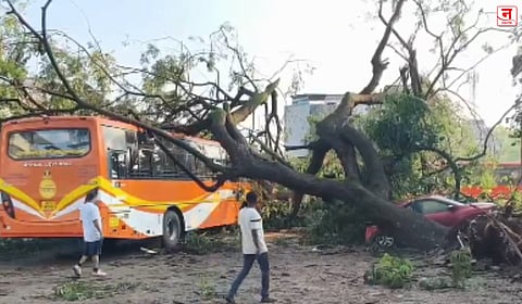 ठाणे जिल्ह्यात वादळी पाऊस; घरांची छपरे उडाली, झाडे उन्मळली; वीजपुरवठा विस्कळीत
