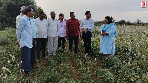 Satara : माण, खटाव, फलटण, खंडाळ्यात भीषण स्थिती 