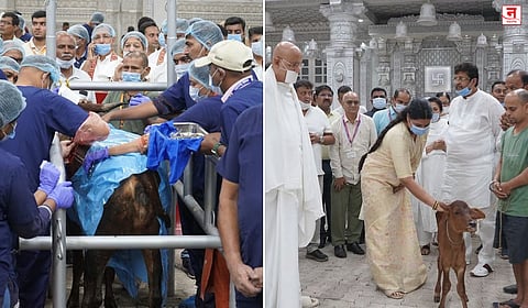 Mumbai : गाईच्या पोटातून काढला ५० किलोचा प्लास्टिक गोळा; मोफत महा-शस्त्रक्रिया शिबिरात झाले उघड 