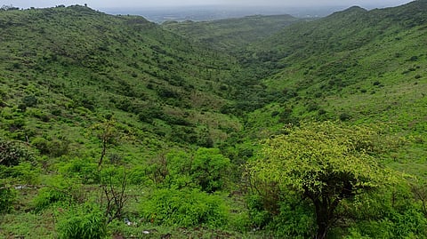 मतवारी दुष्काळाची! डोंगर हिरवे झाले तरच दुष्काळ हटेल