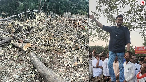 वृक्षतोडीविरुद्ध जनक्षोभ; स्थानिकांमध्ये मोठ्या प्रमाणात रोष, कर्जतमध्ये राजकीय वातावरण तापले