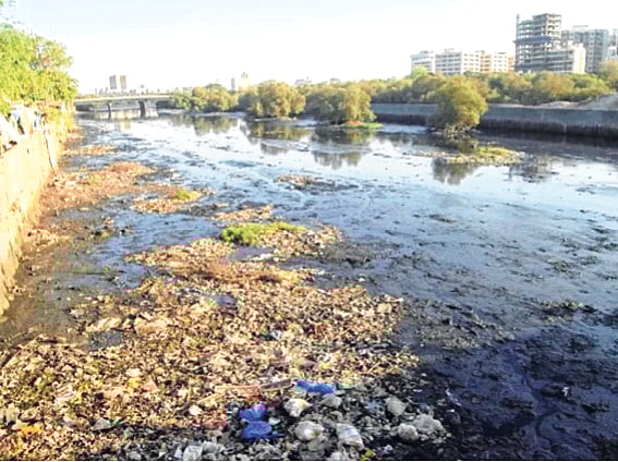 मुंबईची तुंबई होणार; मिठी नदीच्या सफाईसाठी कंत्राटदारच नाही, स्थायी समितीत सदस्य आक्रमक