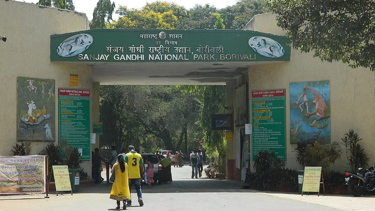 Mumbai : नॅशनल पार्कमधील अतिक्रमित नागरिकांच्या पुनर्वसनासाठी जागा शोधा; उच्च न्यायालयाचे आदेश