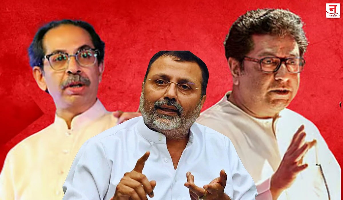 मराठीविरोधात गरळ ओकणाऱ्या भाजप खासदाराने ठाकरे बंधूंना डिवचले; BMC निकाल बघून म्हणाले, "मी मुंबईत येऊन उद्धव-राज...