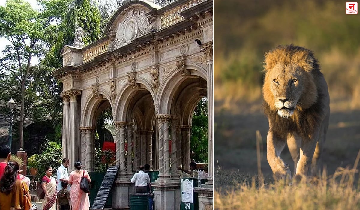 Mumbai : राणीबागेत लवकरच गुजरातच्या सिंहाची गर्जना; सिंहाच्या मागणीसाठी मुंबईच्या महापौरांचे गुजरातच्या मुख्यमंत्र्यांना पत्र