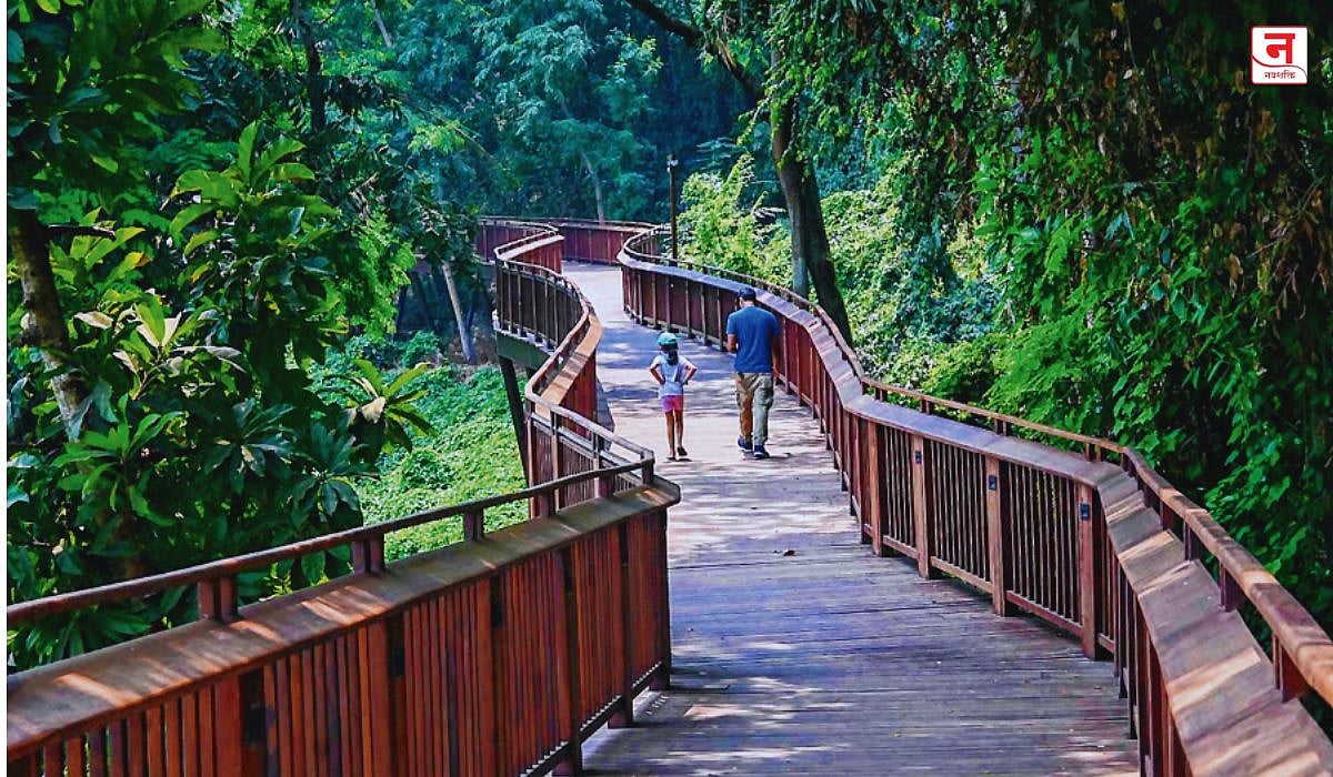 Mumbai : निसर्ग उन्नत मार्ग महागला; ७५० रुपयांत मासिक पास योजना, विदेशी पर्यटकांसाठी ३ हजार फी