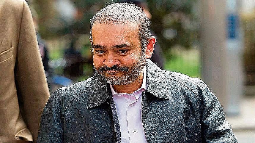 'बँक ऑफ इंडिया'ला १ कोटी डॉलर्स देण्याचे नीरव मोदीला आदेश