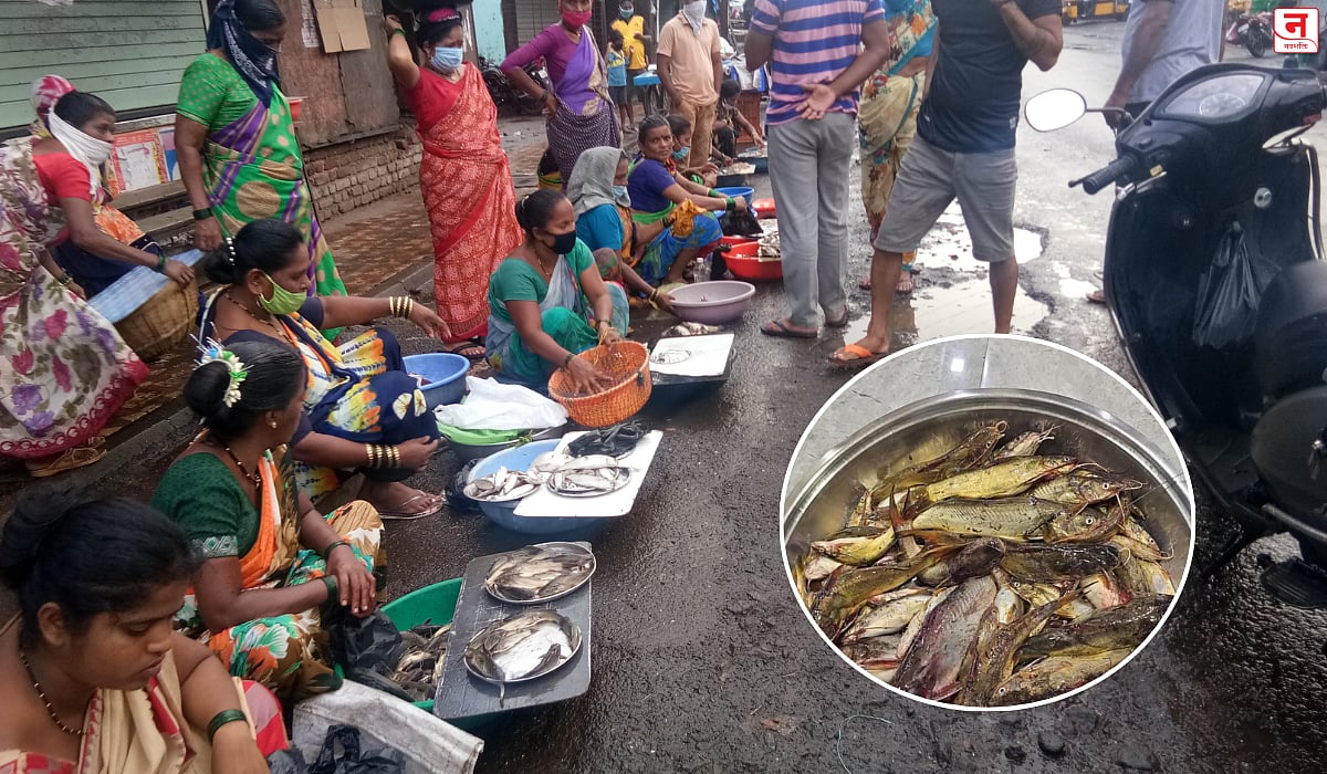 वळगणीच्या 'चिवनी' मच्छीला ग्राहकांची पसंती; अवघ्या २० ते २५ दिवसांचीच उपलब्धता; बाजारात मोठी मागणी