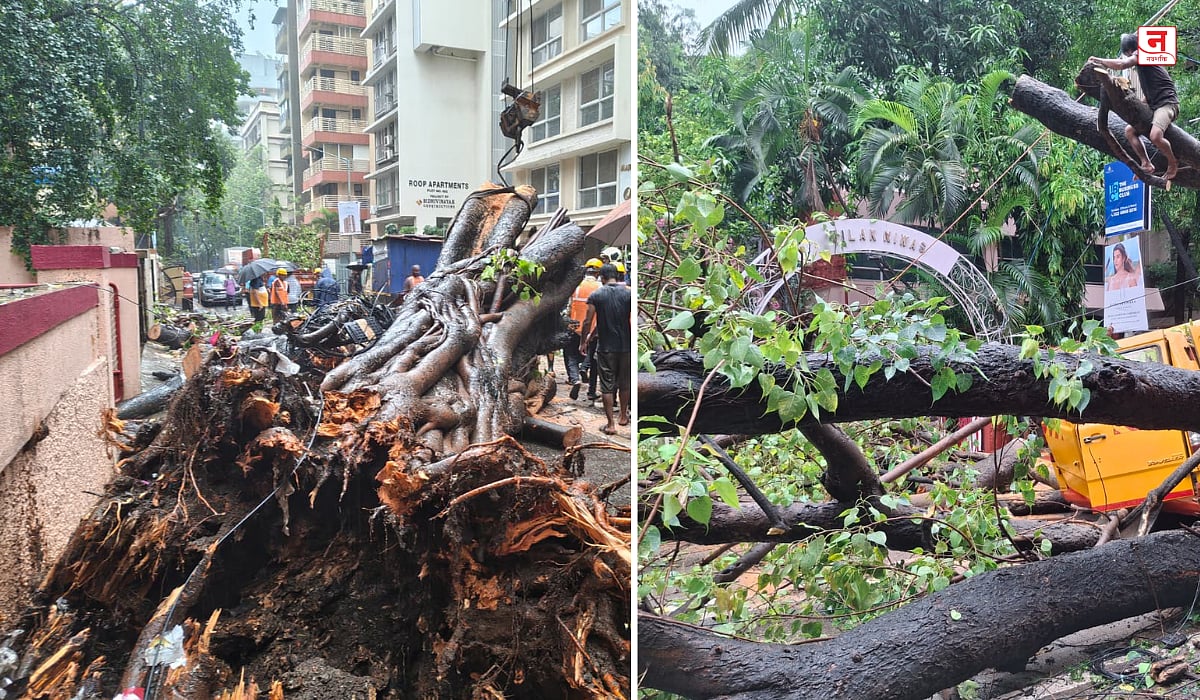 Mumbai : चेंबूर बस दुर्घटनेत ११ वर्षीय विद्यार्थ्याचा उपचारादरम्यान मृत्यू; अन्य चार विद्यार्थ्यांची प्रकृती स्थिर