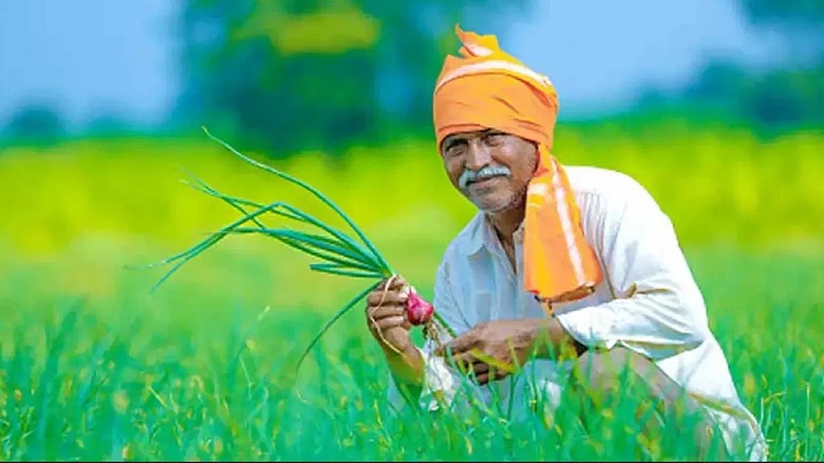 पहिल्या यादीत केवळ ५३३ शेतकऱ्यांना कर्जमाफी; प्राप्तिकर विभागाकडून यादी न मिळाल्याने विलंब