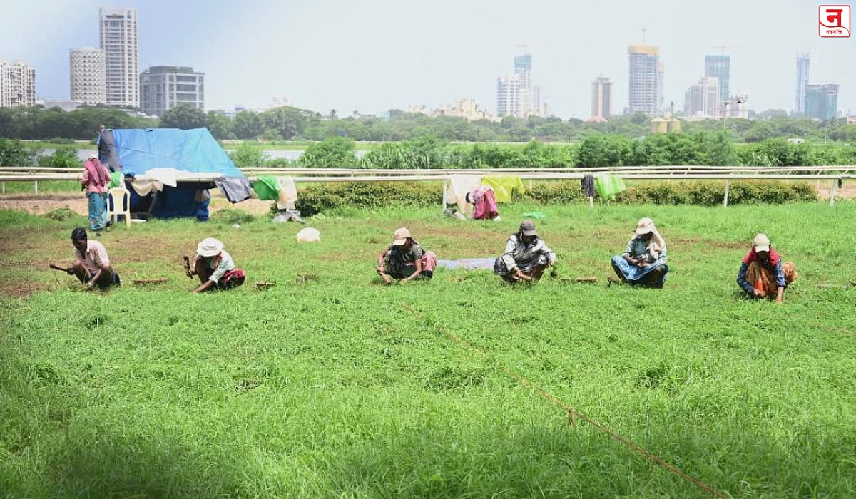 Maharashtra Rain : गुरुवारनंतर राज्यभरात पावसाचा जोर वाढणार!