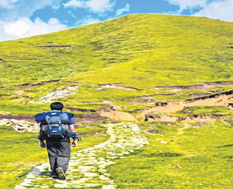 Trek along the stunning meadows
of Khaptad National Park