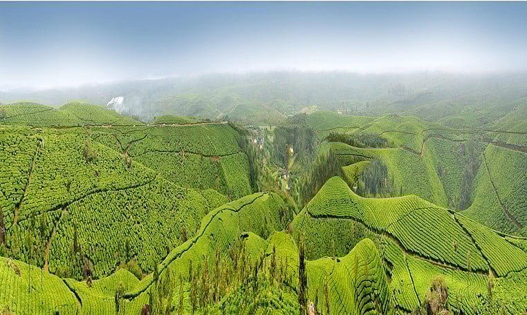 Munnar hills view