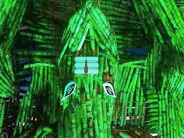 In Andhra Pradesh,devotees make Ganesh idol of sugarcane in Krishna district.

