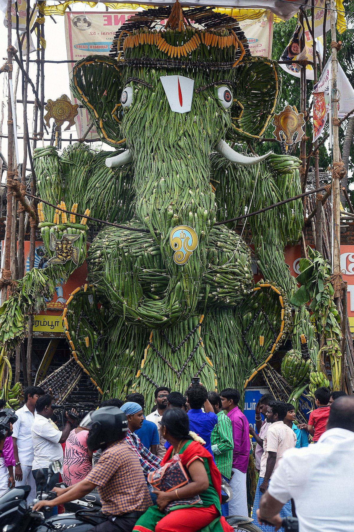 A view of a Ganesha idol made using about 2.5 tons of aloe vera, on display at a pandal in Chennai on the occasion of Ganesh Chaturthi festival, in Chennai