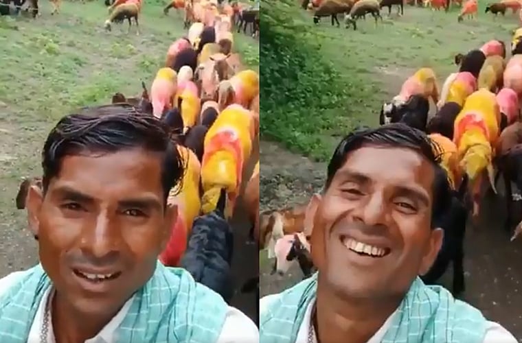 Viral Video: Watch this shepherd lip-sync to Salman Khan's 'Hum Aapke Hain Koun' song 