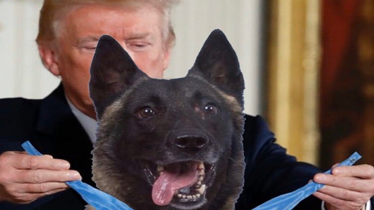Trump shares photoshopped picture of Conan the K9, gets trolled online