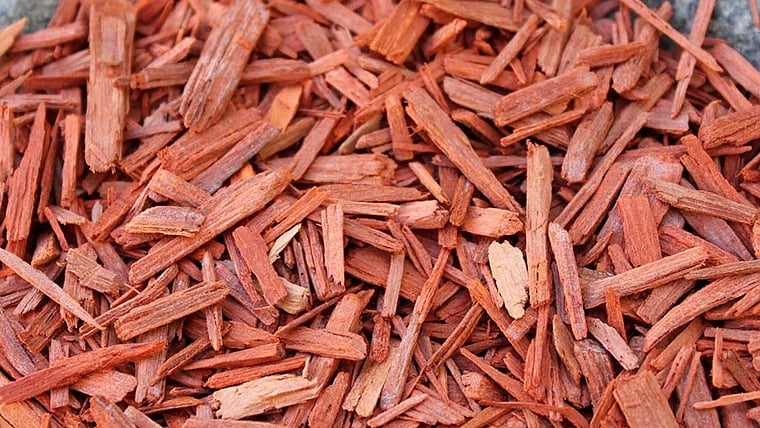 Crime branch seizes 1,340kg of red sanders, two arrested  | Photo credits: thedollarbusiness.com