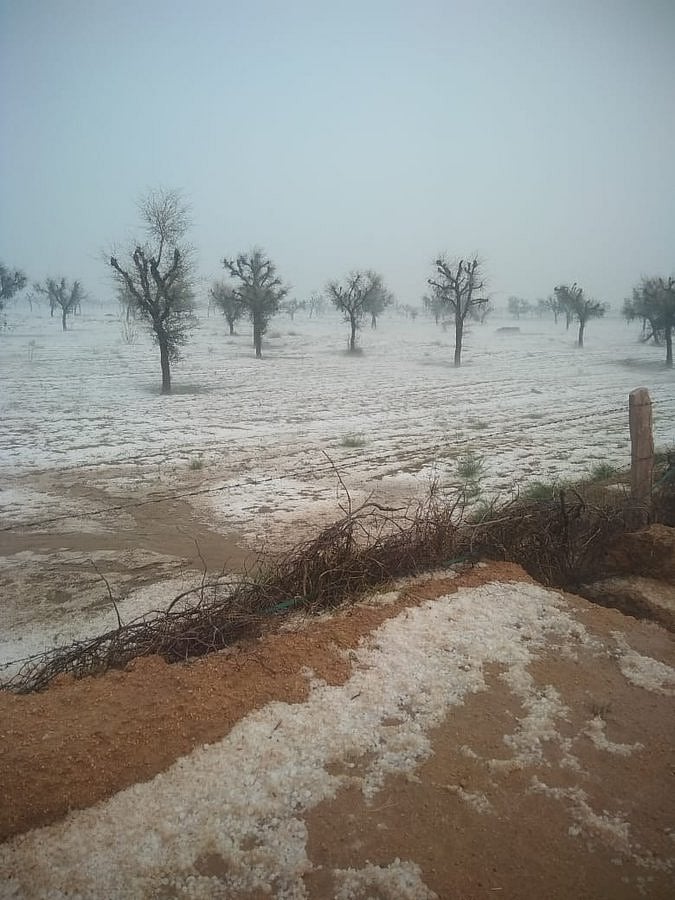 'Snowfall' in Rajasthan has netizens rejoicing on social media and farmers worried about their crops